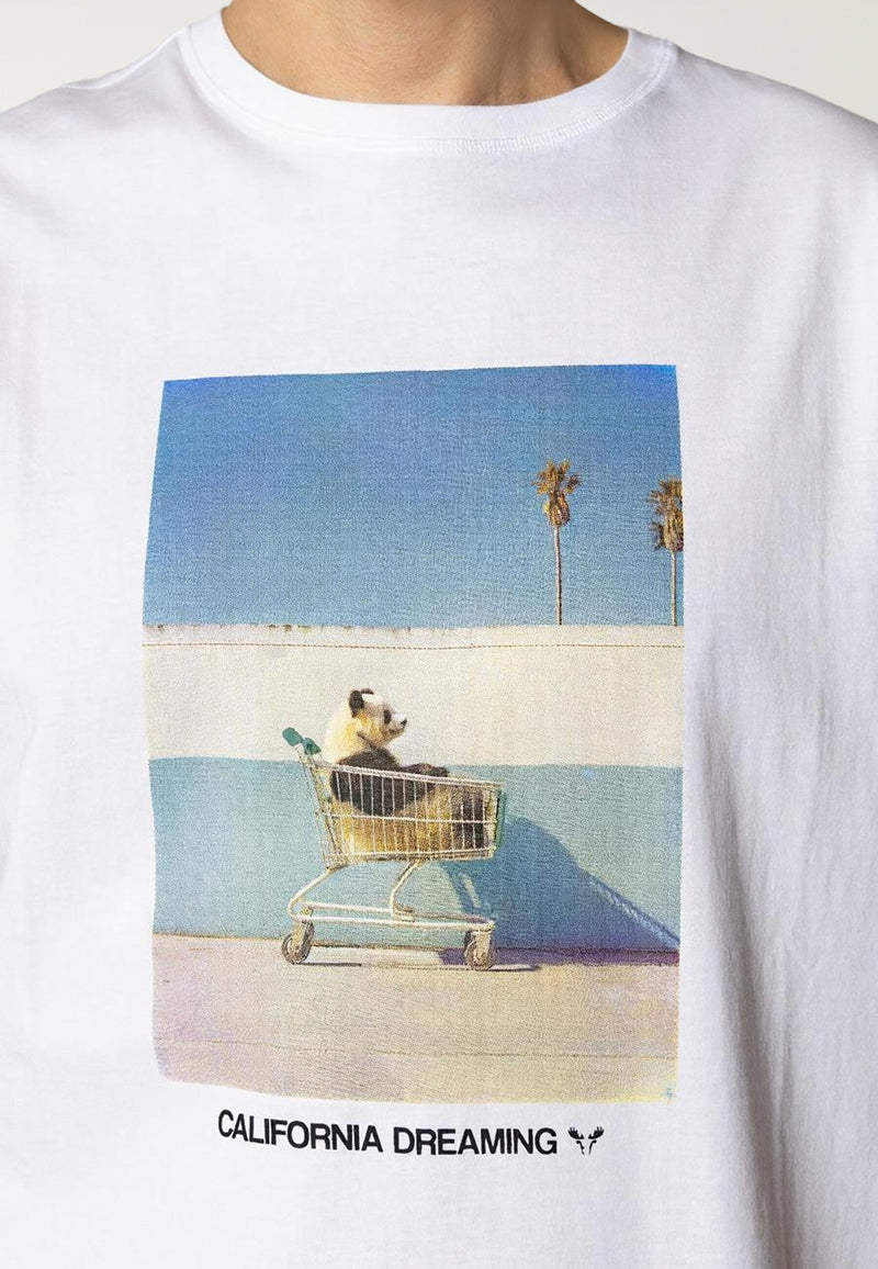 Fat Moose CALI DREAMING T-SHIRT T-shirts S/S Hvid